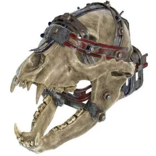 Bear Arm Plan + Heavy
Mod Puncturing
Mod