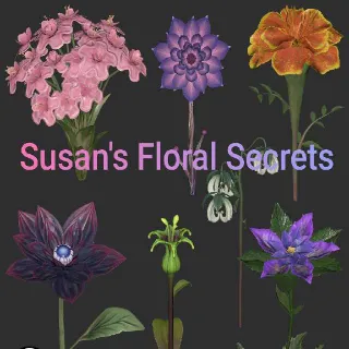 Susan's Floral Secrets Plan