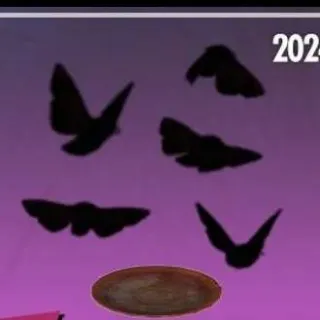 Fluttering Moths Plan