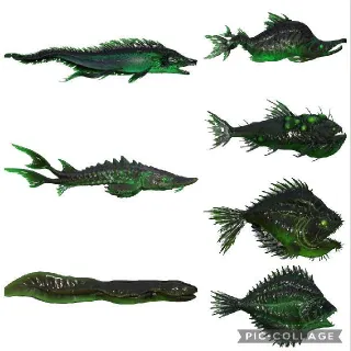 All 7 Glowing Fishes