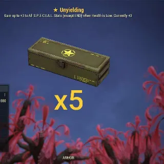 Unyielding Mods X5