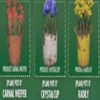 Pot'o Big Bloom Pots All 3