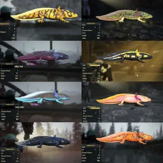 All 8 Axolotl So Far