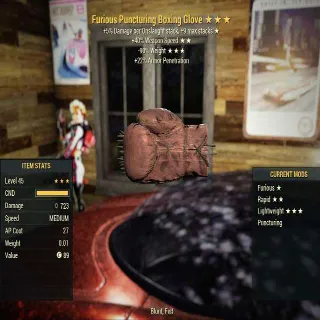 Boxing Glove Furious Rapid Lightweight