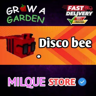 RAINBOW DISCO BEE