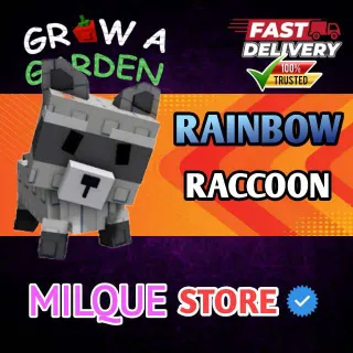 RAINBOW RACOON