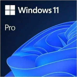 Windows 11 Pro