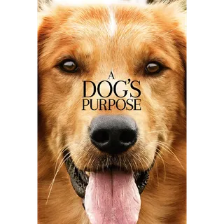 A Dog's Purpose