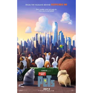 The Secret Life of Pets HD