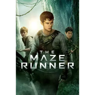 The Maze Runner Trilogy (1,2,3) Bundle