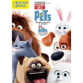 The Secret Life of Pets