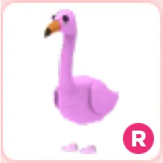 Flamingo R