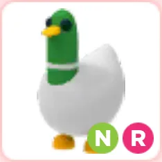 Silly Duck NR
