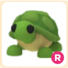 Turtle R