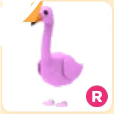 Flamingo R