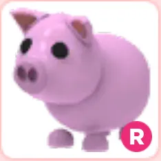 Pig R
