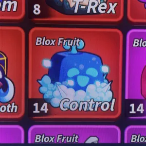 14x Controls Blox Fruits