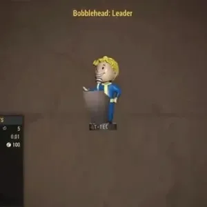 leader bobblehead