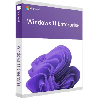 Windows 11 Enterprise -  ( online activation )