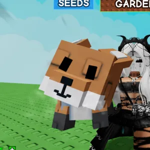 Red Fox mutated Windy