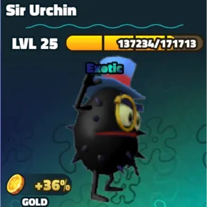 Sir Urchin