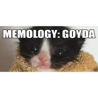 MEMOLOGY: GOYDA
