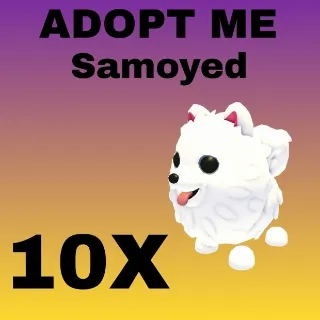 Samoyed- Adopt Me