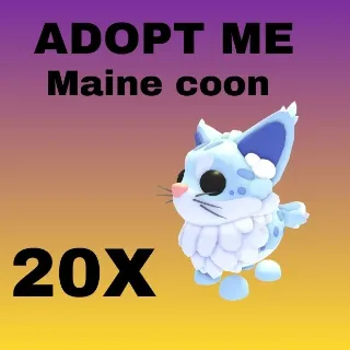 Maine coon- Adopt Me