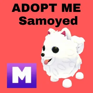 Samoyed Mega - Adopt Me