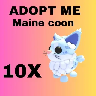 Maine coon- Adopt Me