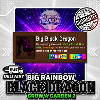 BIG RAINBOW BLACK DRAGON