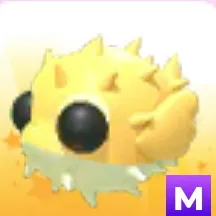 PUFFER FISH MEGA NEON