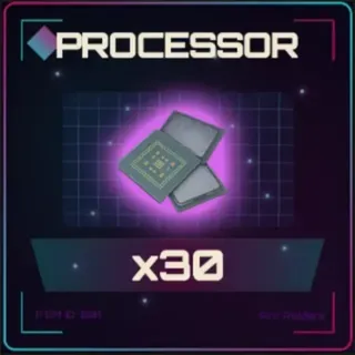 Processor x30