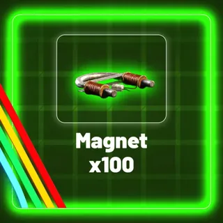 Magnet