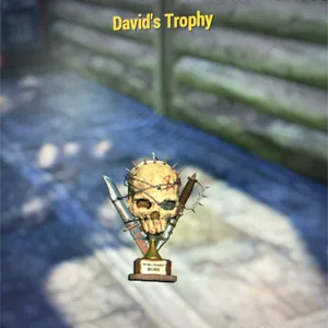 David’s Trophy