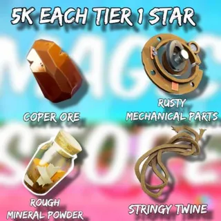 Bundle 5k Each Tier 1 star