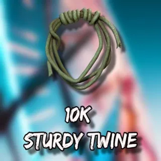 Sturdy TWINE