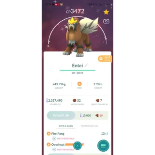 ✨SHINY ENTEI ✨ (2019 GRUNTEED LUCKY VIA TRADE AVAILABLE ) 💫💫💯