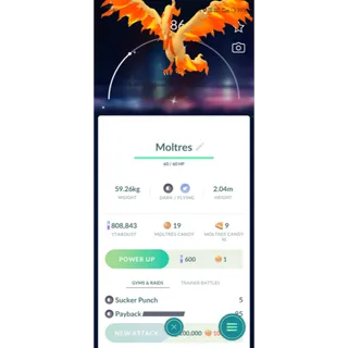 ✨SHINY GALARIAN MOLTRAS ( VIA TRADE AVAILABLE) ✨✨