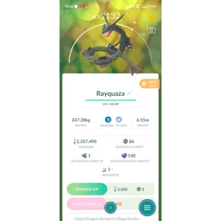 ✨SHINY  RAYQUAZA ✨ (2019 GRUNTEED LUCKY VIA TRADE AVAILABLE ) 💫💫💯