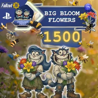 °❀⋆ BIG BLOOM FLOWERS .ೃ࿔*:･