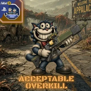 ▄︻デ══━一 ACCEPTABLE OVERKILL 💥