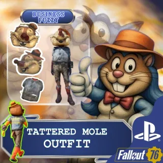 🐿️ྀིྀི  Tattered mole outfit x 1 