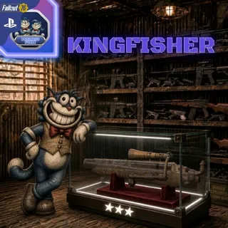 ᡕᠵデ气亠  KINGFISHER ₊ ⊹