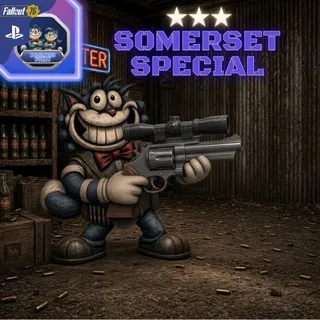 ▄︻デ╦═一━  somerset special  