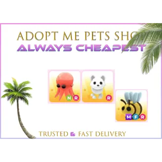 Beautiful Pets bundle