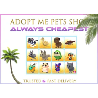 12 x Beautiful pets bundle