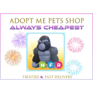 NFR Silver Gorilla