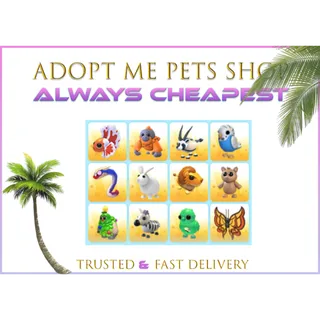 12 x Beautiful pets bundle