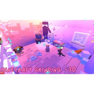 Adopt Me Minecraft Grinding House #10